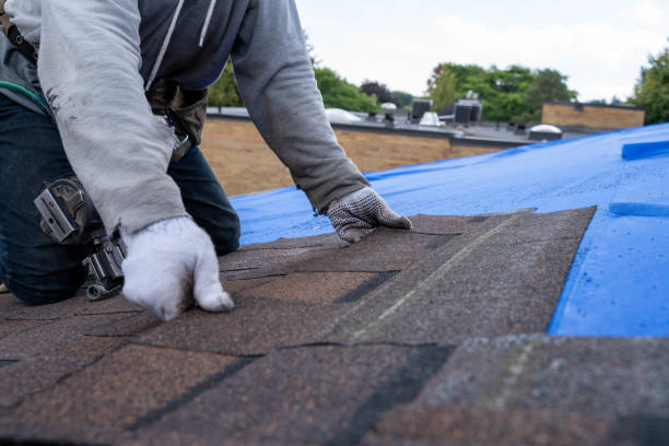 Best Storm Damage Roof Repair  in Kalispell, MT